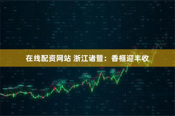 在线配资网站 浙江诸暨：香榧迎丰收