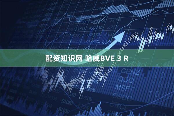 配资知识网 哈威BVE 3 R