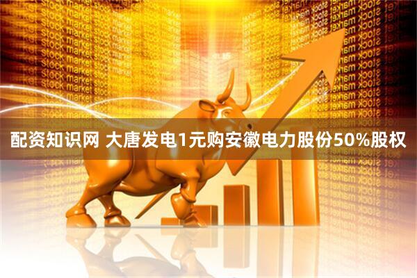 配资知识网 大唐发电1元购安徽电力股份50%股权