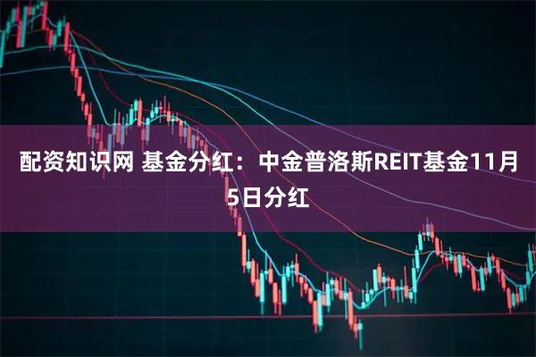 配资知识网 基金分红：中金普洛斯REIT基金11月5日分红