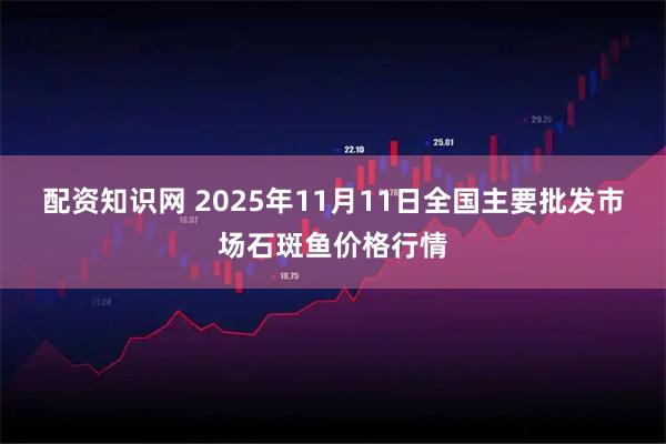 配资知识网 2025年11月11日全国主要批发市场石斑鱼价格行情