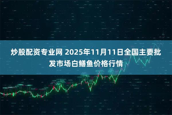 炒股配资专业网 2025年11月11日全国主要批发市场白鳝鱼价格行情