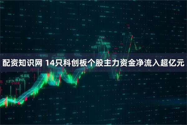 配资知识网 14只科创板个股主力资金净流入超亿元