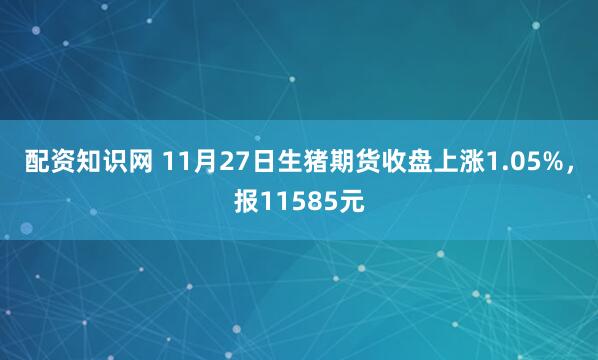 配资知识网 11月27日生猪期货收盘上涨1.05%，报11585元