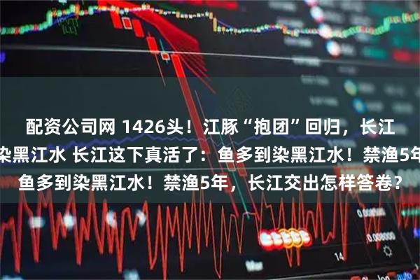 配资公司网 1426头！江豚“抱团”回归，长江禁渔5年巨变：鱼多到染黑江水 长江这下真活了：鱼多到染黑江水！禁渔5年，长江交出怎样答卷？